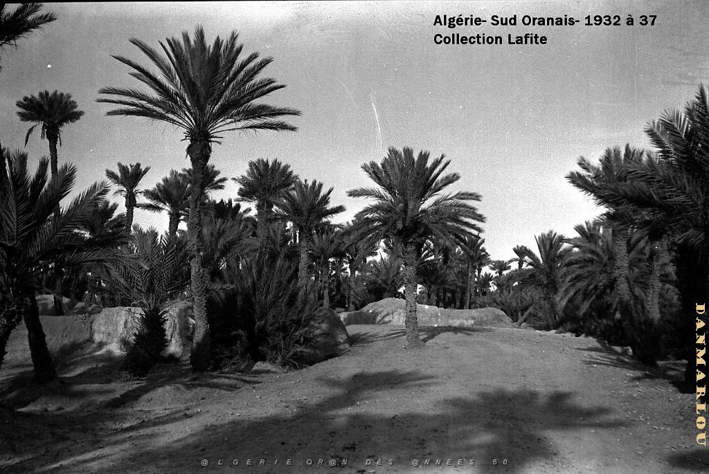 SUD ORANAIS  1932 A 1937  (38).jpg